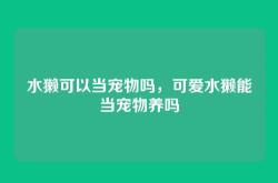 水獭可以当宠物吗，可爱水獭能当宠物养吗