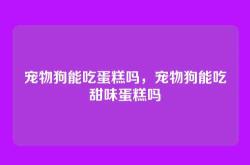 宠物狗能吃蛋糕吗，宠物狗能吃甜味蛋糕吗