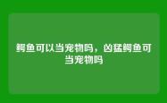 鳄鱼可以当宠物吗，凶猛鳄鱼可当宠物吗