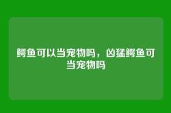 鳄鱼可以当宠物吗，凶猛鳄鱼可当宠物吗