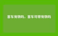 客车宠物吗，客车可带宠物吗