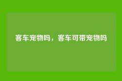 客车宠物吗，客车可带宠物吗