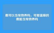 鹿可以当宠物养吗，可爱温顺的鹿能当宠物养吗