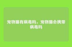 宠物猫有病毒吗，宠物猫会携带病毒吗