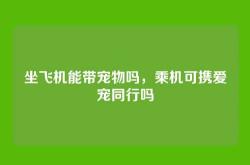 坐飞机能带宠物吗，乘机可携爱宠同行吗