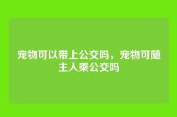 宠物可以带上公交吗，宠物可随主人乘公交吗