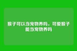 猴子可以当宠物养吗，可爱猴子能当宠物养吗