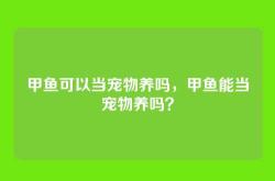 甲鱼可以当宠物养吗，甲鱼能当宠物养吗？