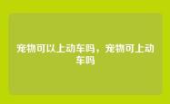宠物可以上动车吗，宠物可上动车吗