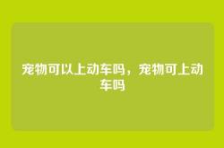 宠物可以上动车吗，宠物可上动车吗