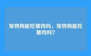 宠物狗能吃猪肉吗，宠物狗能吃猪肉吗？