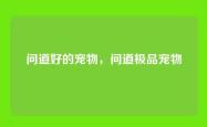 问道好的宠物，问道极品宠物