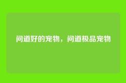 问道好的宠物，问道极品宠物