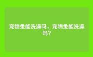 宠物兔能洗澡吗，宠物兔能洗澡吗？
