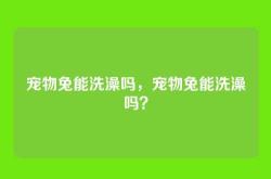 宠物兔能洗澡吗，宠物兔能洗澡吗？
