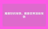 魔兽好的宠物，魔兽世界顶级宠物