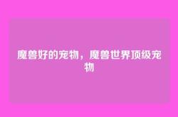 魔兽好的宠物，魔兽世界顶级宠物