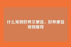什么宠物好养又便宜，好养便宜宠物推荐