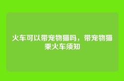 火车可以带宠物猫吗，带宠物猫乘火车须知