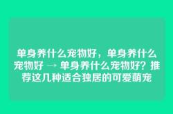 单身养什么宠物好，单身养什么宠物好 → 单身养什么宠物好？推荐这几种适合独居的可爱萌宠