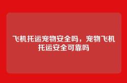 飞机托运宠物安全吗，宠物飞机托运安全可靠吗