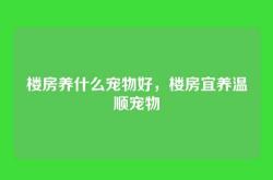 楼房养什么宠物好，楼房宜养温顺宠物