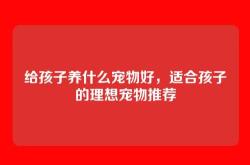 给孩子养什么宠物好，适合孩子的理想宠物推荐
