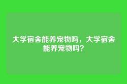 大学宿舍能养宠物吗，大学宿舍能养宠物吗？
