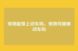 宠物能带上动车吗，宠物可随乘动车吗