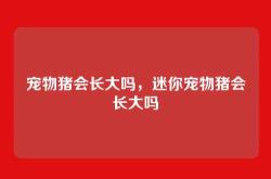 宠物猪会长大吗，迷你宠物猪会长大吗