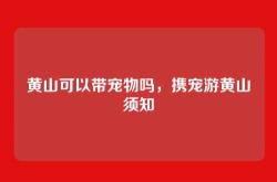 黄山可以带宠物吗，携宠游黄山须知