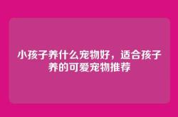 小孩子养什么宠物好，适合孩子养的可爱宠物推荐