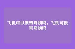 飞机可以携带宠物吗，飞机可携带宠物吗