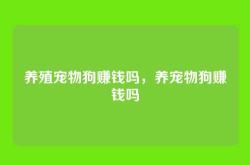 养殖宠物狗赚钱吗，养宠物狗赚钱吗