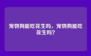 宠物狗能吃花生吗，宠物狗能吃花生吗？