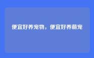 便宜好养宠物，便宜好养萌宠