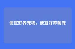 便宜好养宠物，便宜好养萌宠