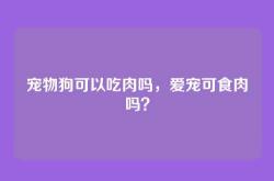 宠物狗可以吃肉吗，爱宠可食肉吗？