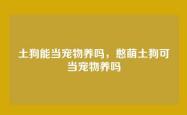 土狗能当宠物养吗，憨萌土狗可当宠物养吗