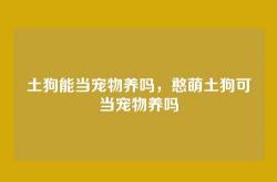 土狗能当宠物养吗，憨萌土狗可当宠物养吗