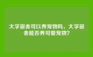 大学宿舍可以养宠物吗，大学宿舍能否养可爱宠物？