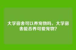 大学宿舍可以养宠物吗，大学宿舍能否养可爱宠物？