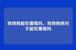 宠物狗能吃葡萄吗，宠物狗绝对不能吃葡萄吗