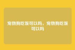 宠物狗吃饭可以吗，宠物狗吃饭可以吗