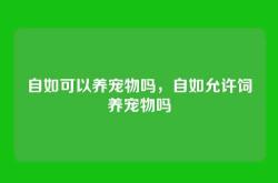 自如可以养宠物吗，自如允许饲养宠物吗
