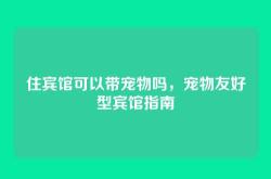 住宾馆可以带宠物吗，宠物友好型宾馆指南