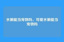 水獭能当宠物吗，可爱水獭能当宠物吗