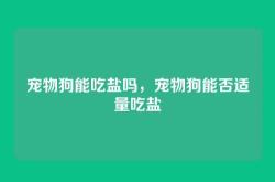 宠物狗能吃盐吗，宠物狗能否适量吃盐