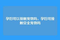 孕妇可以接触宠物吗，孕妇可接触安全宠物吗