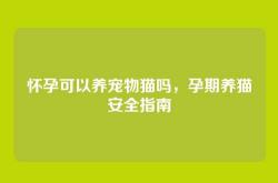怀孕可以养宠物猫吗，孕期养猫安全指南
